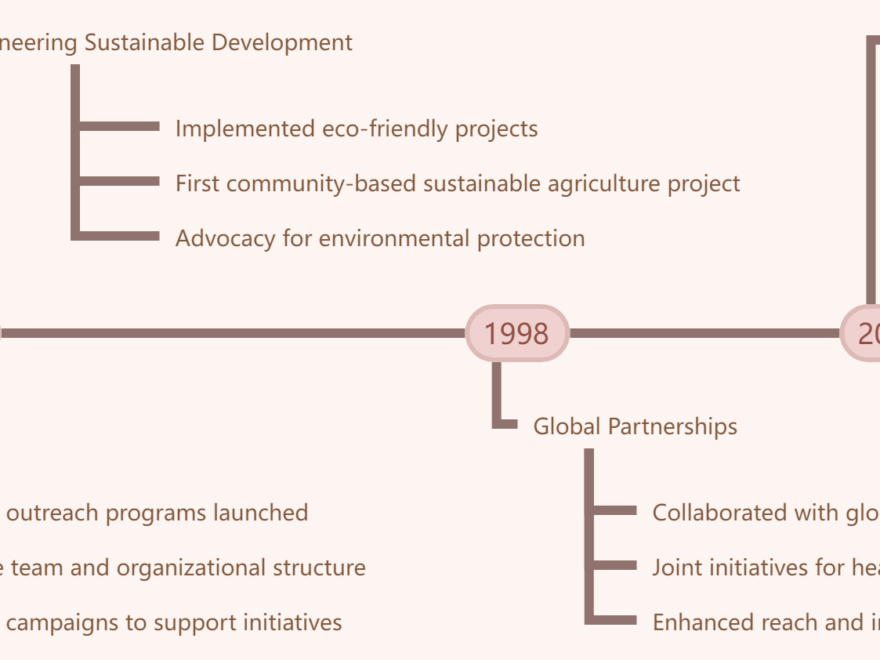 創建有效時間軸的全面教程