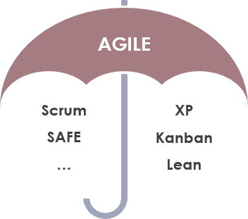 敏捷与Scrum